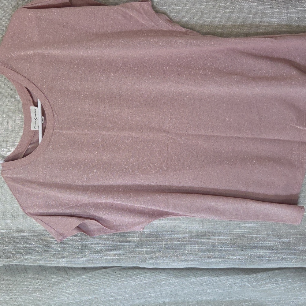 Elegant Pink Shimmery Short Sleeve Top